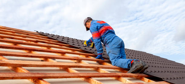 Best Green or Eco-Friendly Roofing Solutions  in Paris, IL